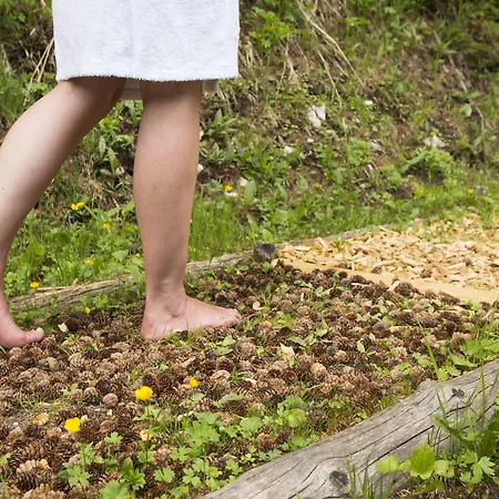 Hotel Schweizerhof Maria, A Faern Collection Sils Maria