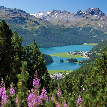 Schweizerhof Maria, A Faern Collection Sils Maria
