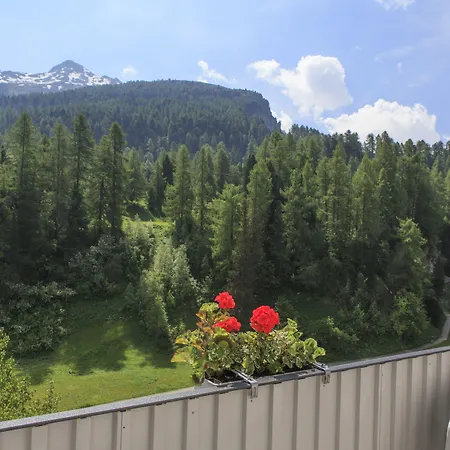 Hotel Arenas Schweizerhof 3*